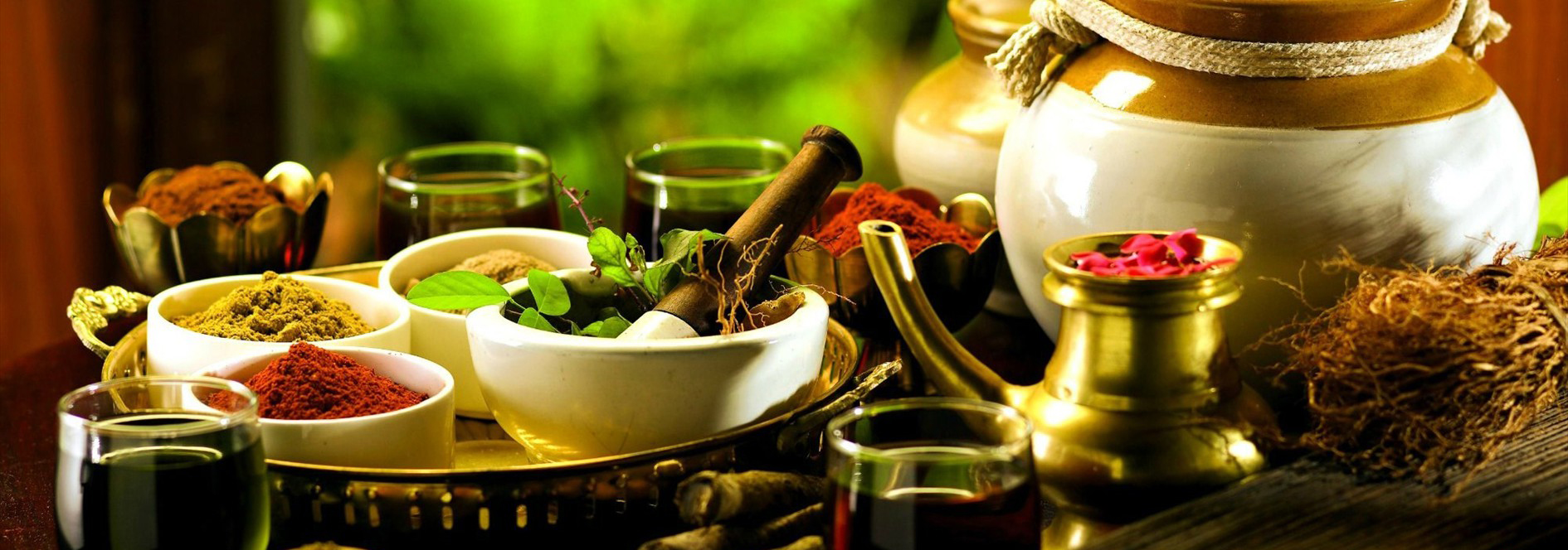 Ayurvedic Treatment in kerala Ayurveda Training Courses in Kerala